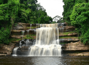 MALIAU BASIN CONSERVATION AREA (SABAH'S LOST WORLD) (NON MALAYSIAN)