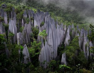 PINNACLE MULU