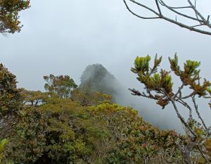 MOUNT TRUSMADI VIA WAYAAN  KAINGARAN (INTERNATIONAL)