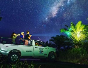 TABIN WILDLIFE SAFARI (SABAHAN)